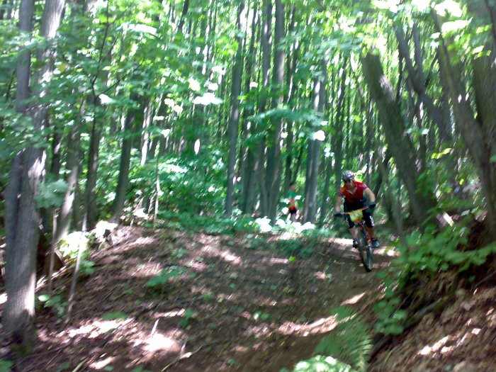 7831909_30062013477.jpg