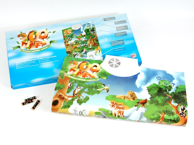 1100481   -500,89.jpg