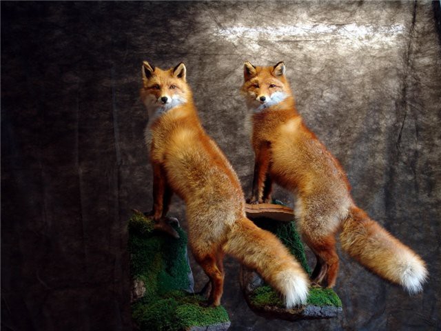 15.10.2009 9:21:36