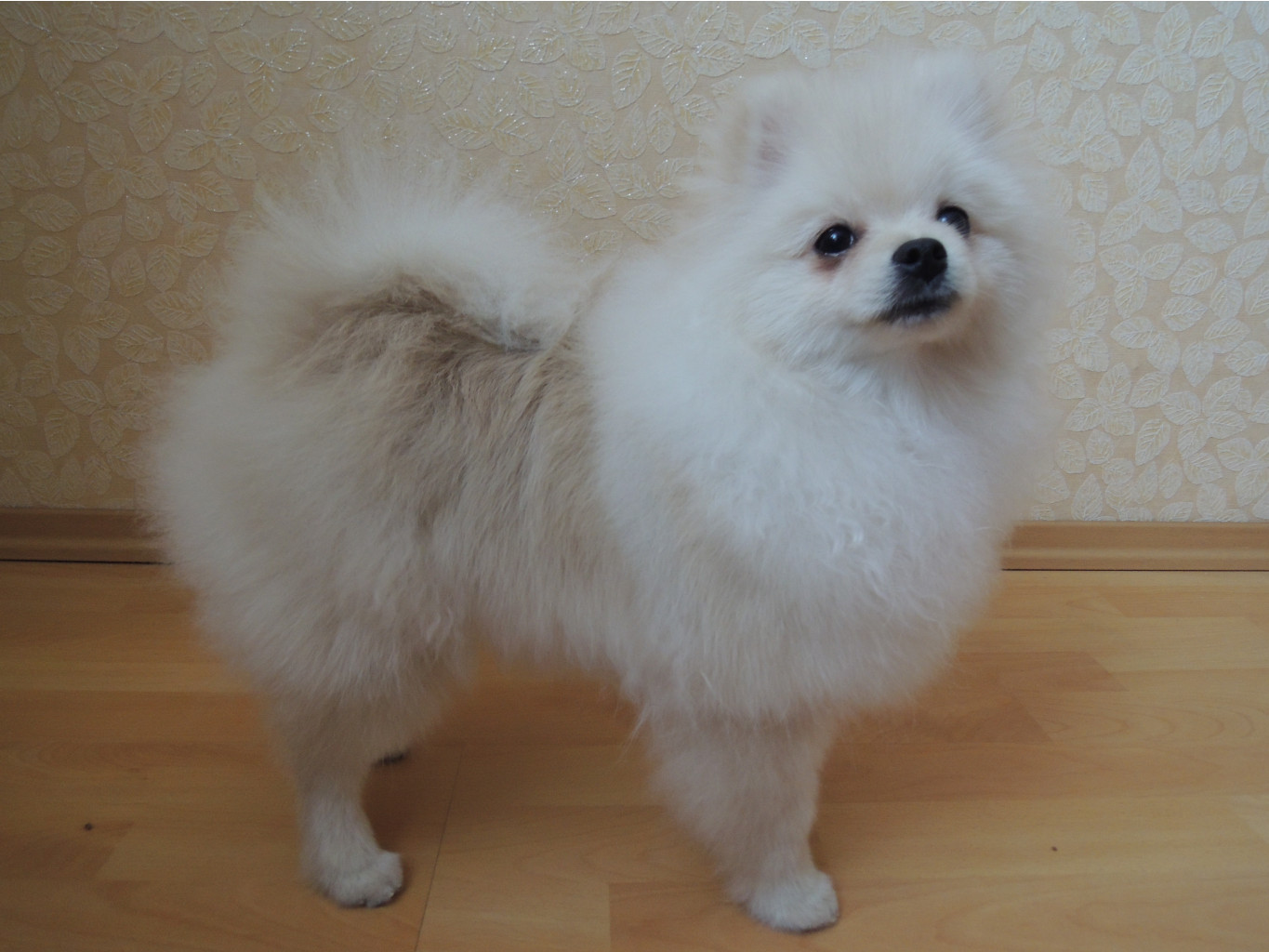 DSCN1433.JPG