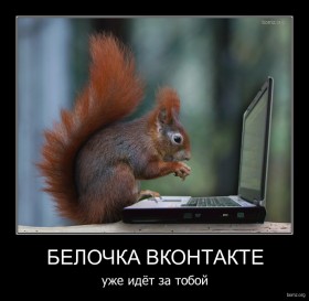 258176-2010_11_30-05_56_48-bomz_org-demotivator_belochka_vkontakte_uje_idiet_za_toboyi.jpg
