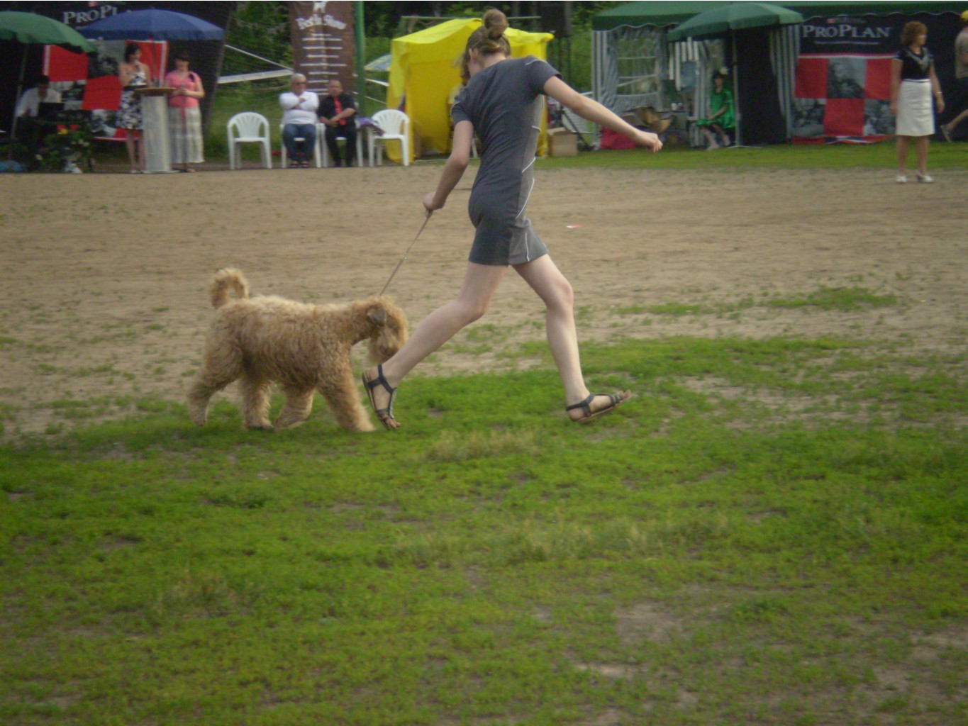 PA130103.JPG
