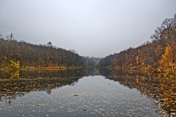 19.10.2009 11:04:09