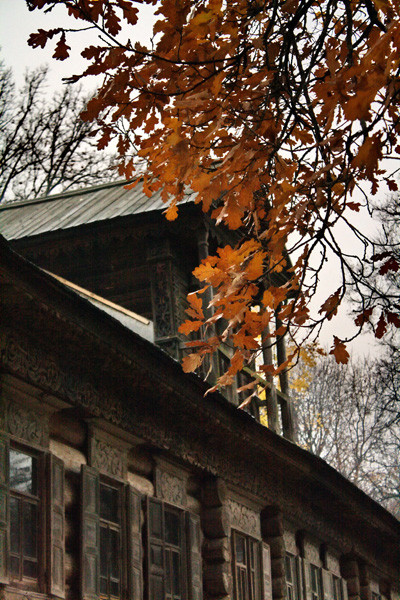 19.10.2009 11:08:56