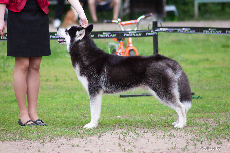20120612-IMG_8948.jpg