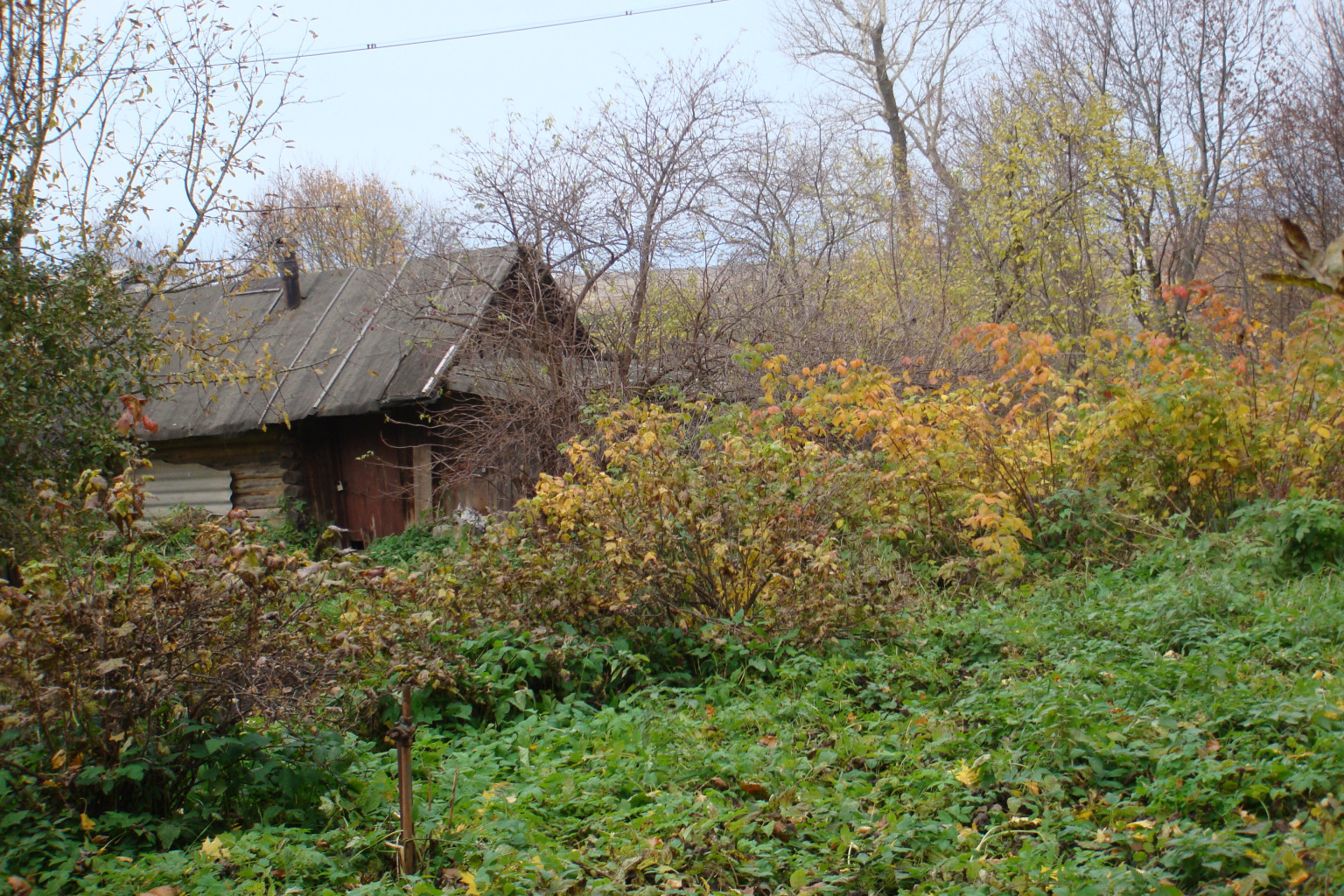 19.10.2009 20:05:18