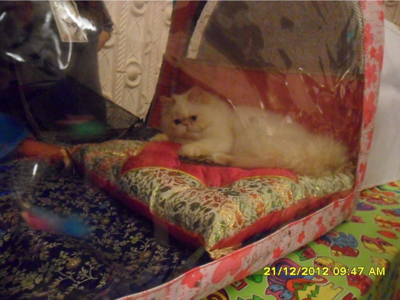 SAM_5519.JPG