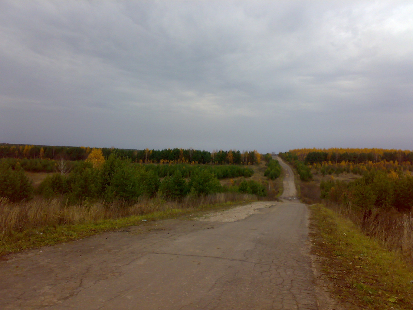 21.10.2009 0:10:03