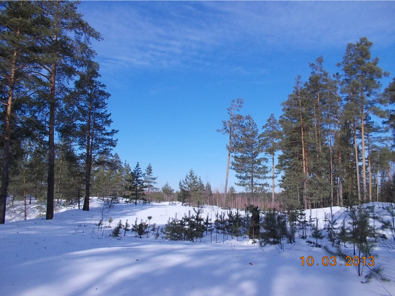 DSCN1873.JPG