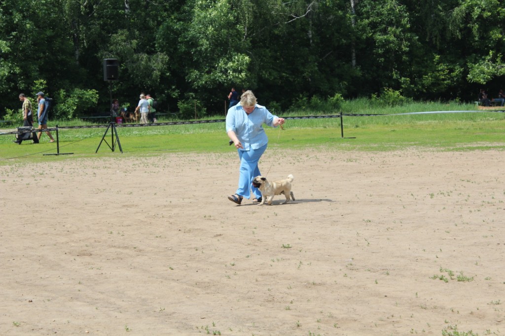2012_06_12_1373.JPG