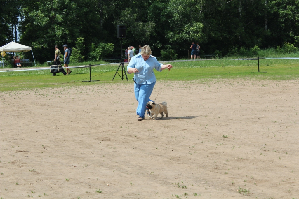 2012_06_12_1374.JPG