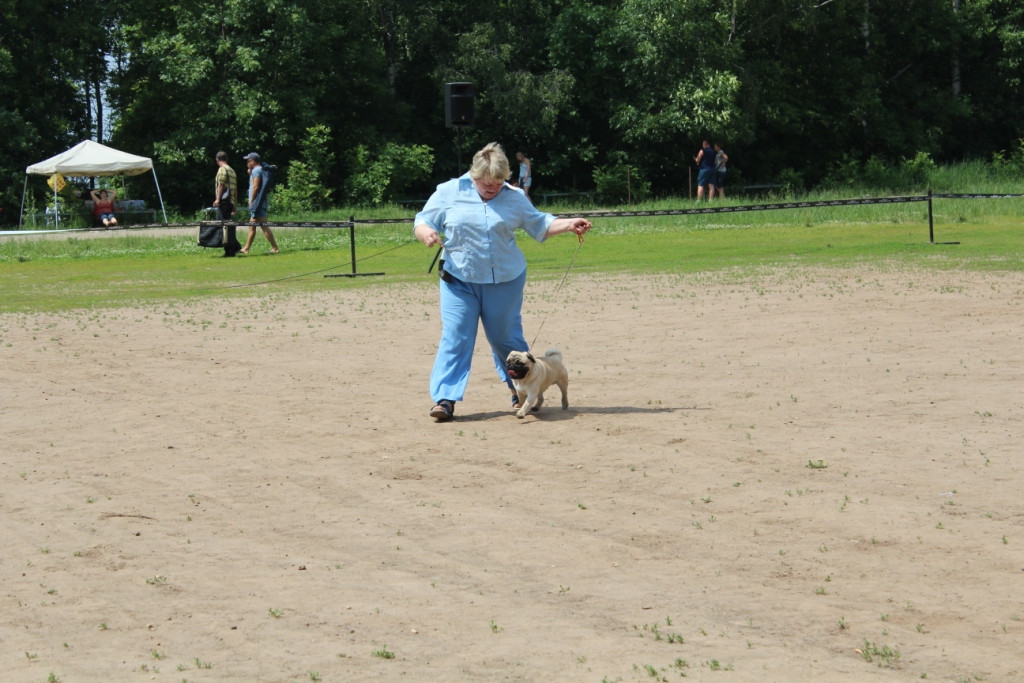 2012_06_12_1375.JPG
