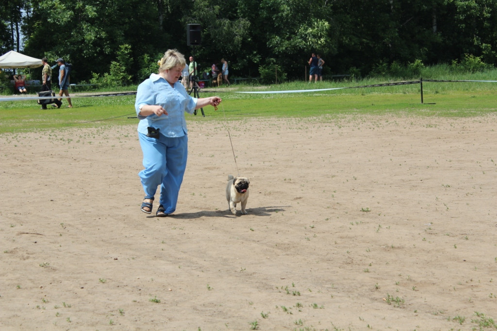 2012_06_12_1377.JPG