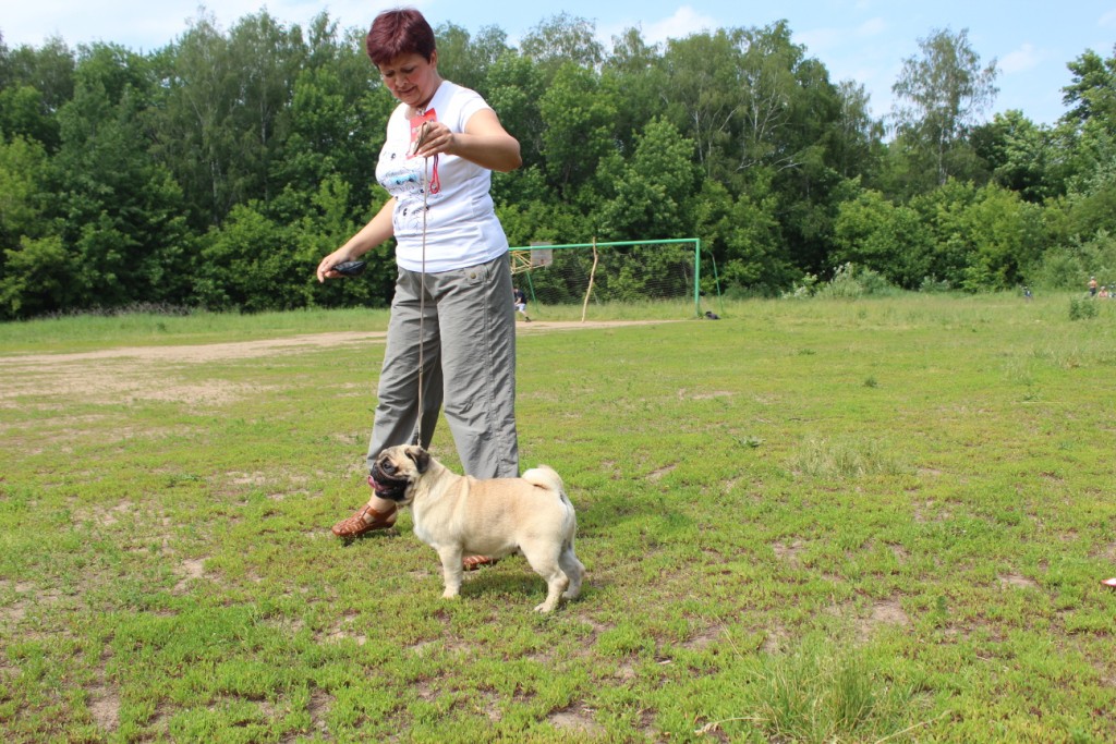 2012_06_12_1430.JPG