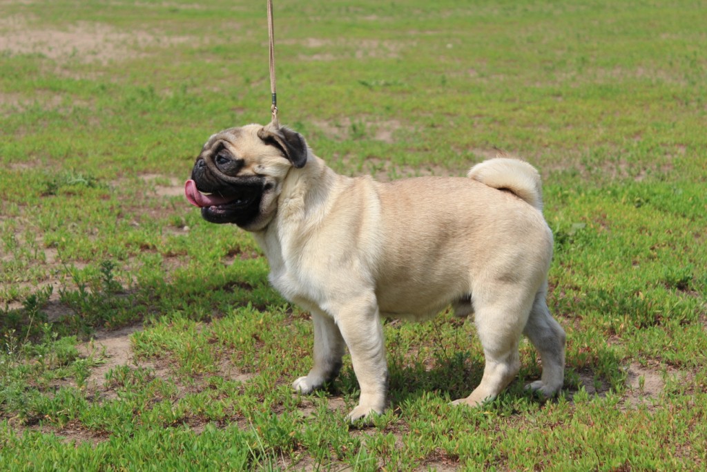 2012_06_12_1433.JPG