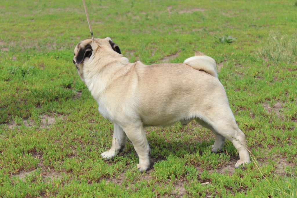 2012_06_12_1437.JPG