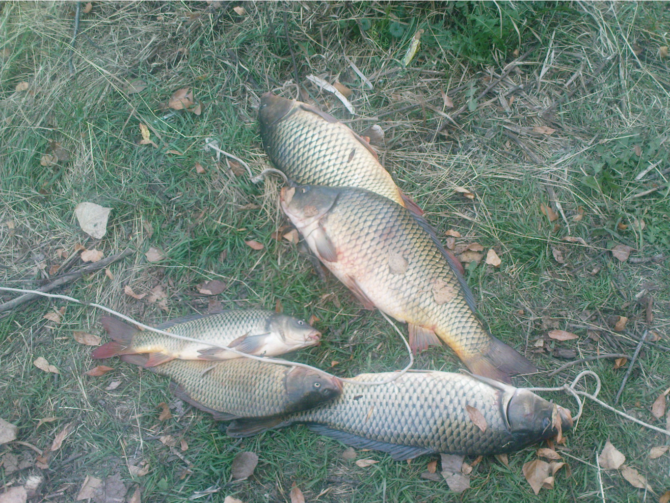 22.10.2009 18:45:20