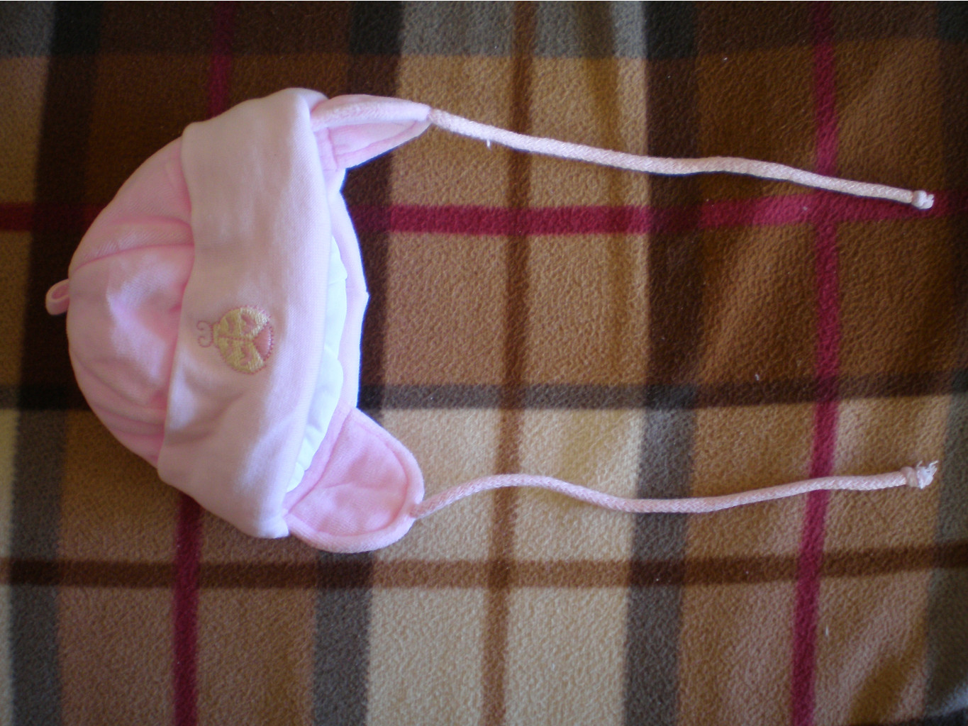 P1230015.JPG