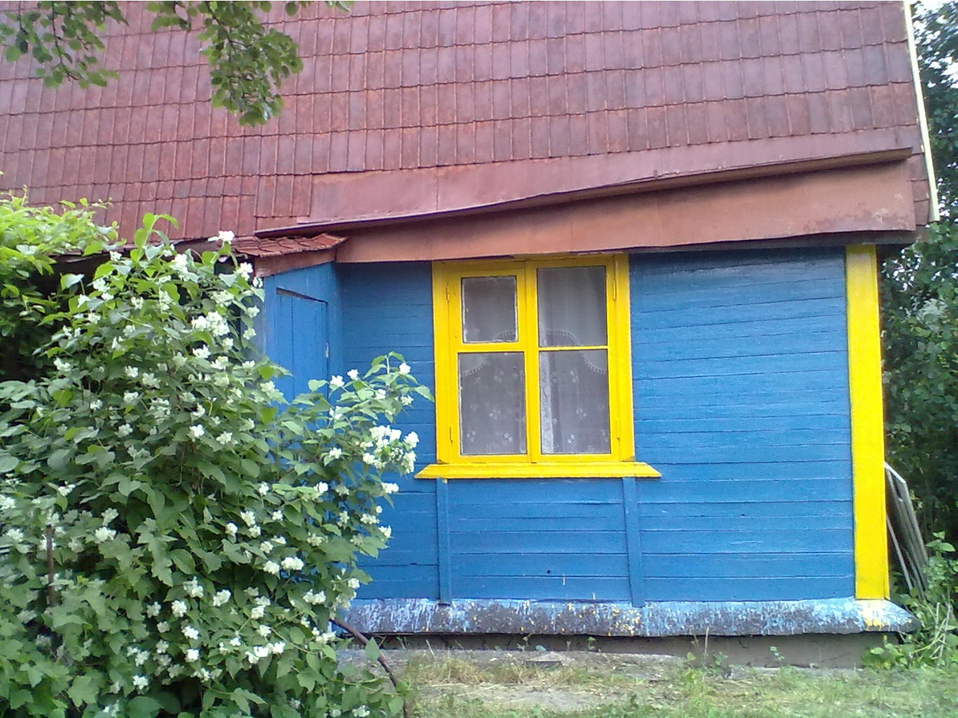 10062012174.jpg