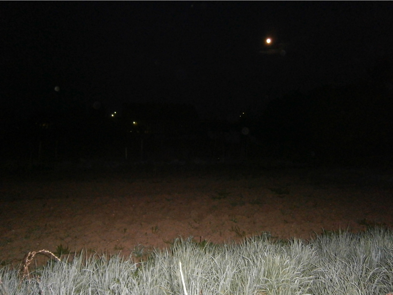 P5040448.JPG