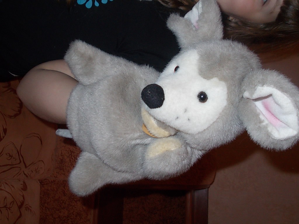 DSCN2284.JPG
