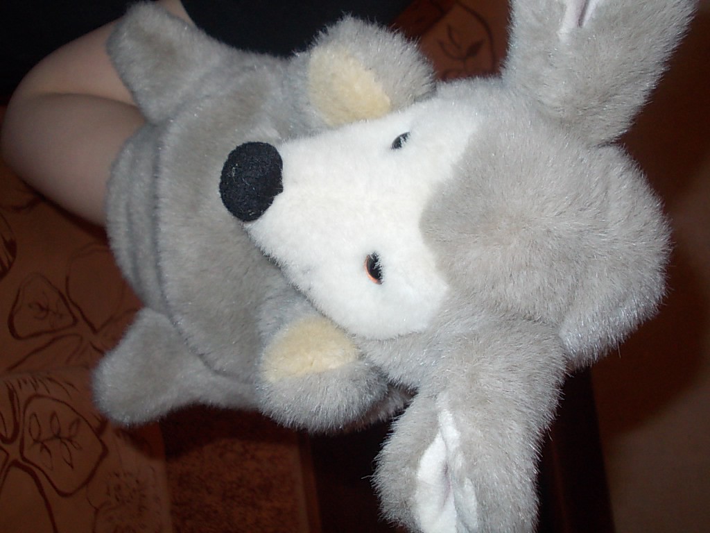 DSCN2286.JPG