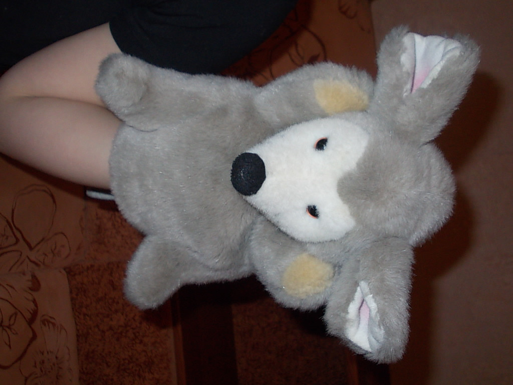 DSCN2287.JPG