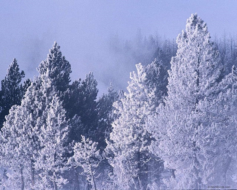 02.11.2009 22:02:21