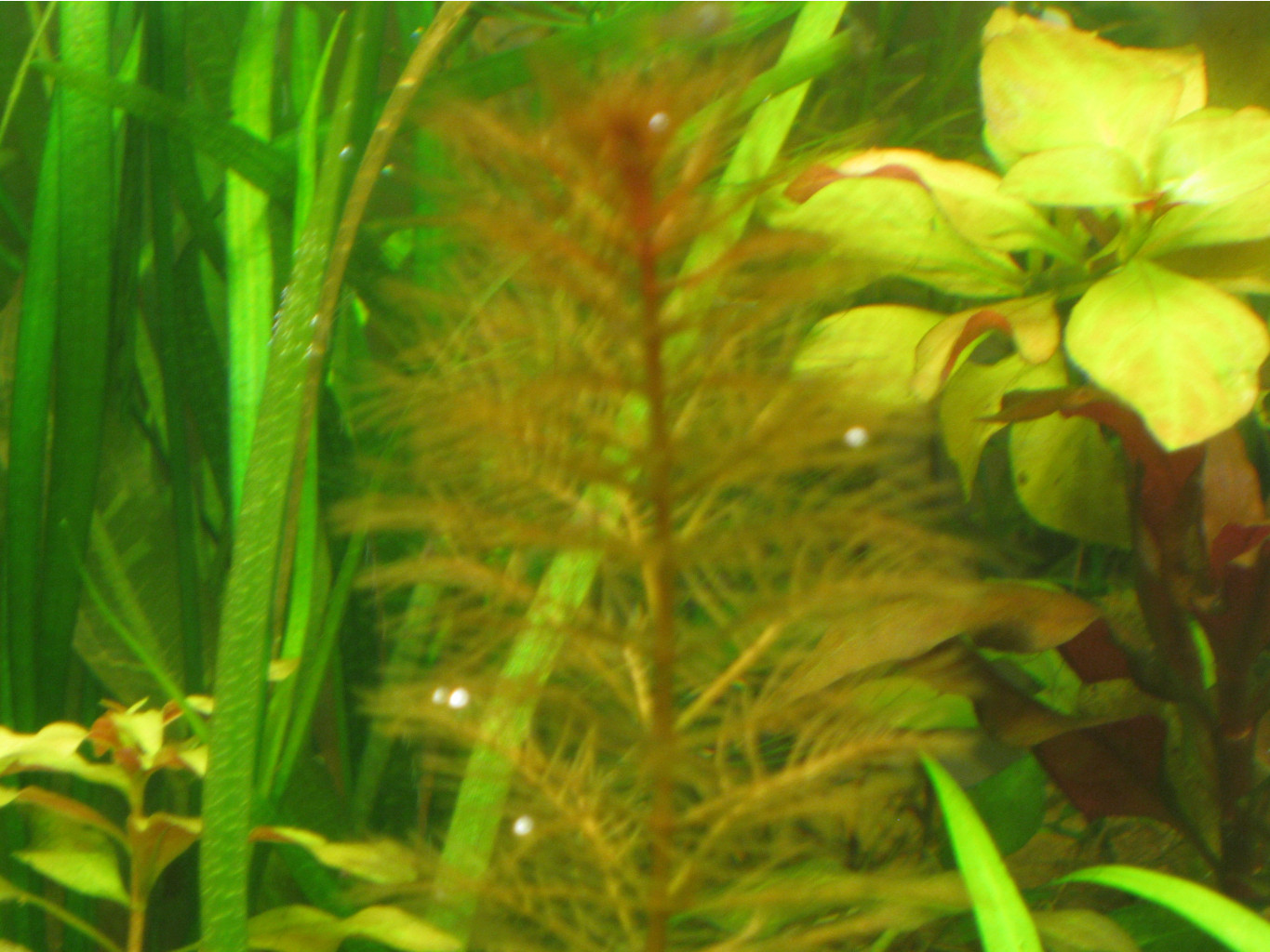 03.11.2009 21:38:06