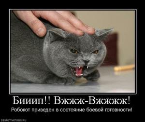 demotivatory-cat-f-it-ru13.jpg