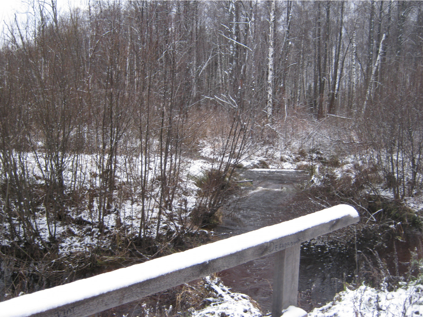 2012-11-10_10-08-49.jpg