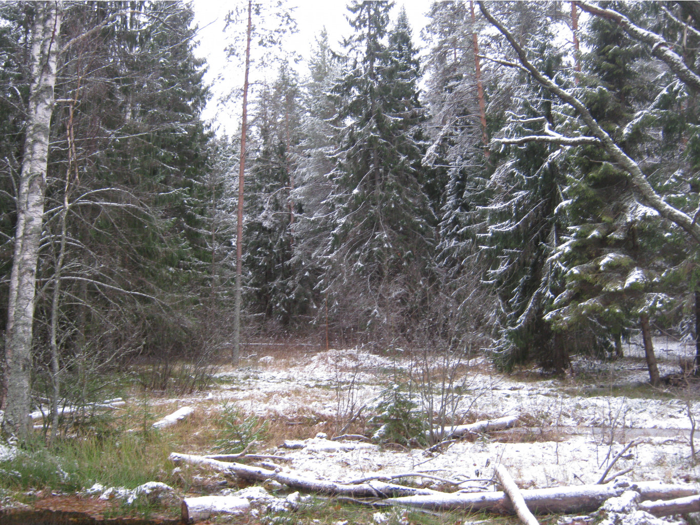 2012-11-10_12-12-34.jpg