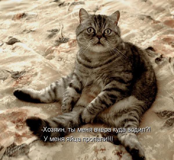 05.11.2009 20:32:22