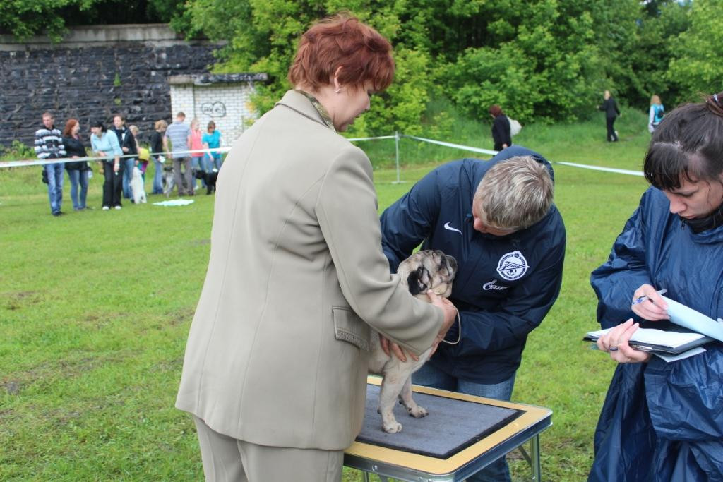 2012_06_03_1199.JPG