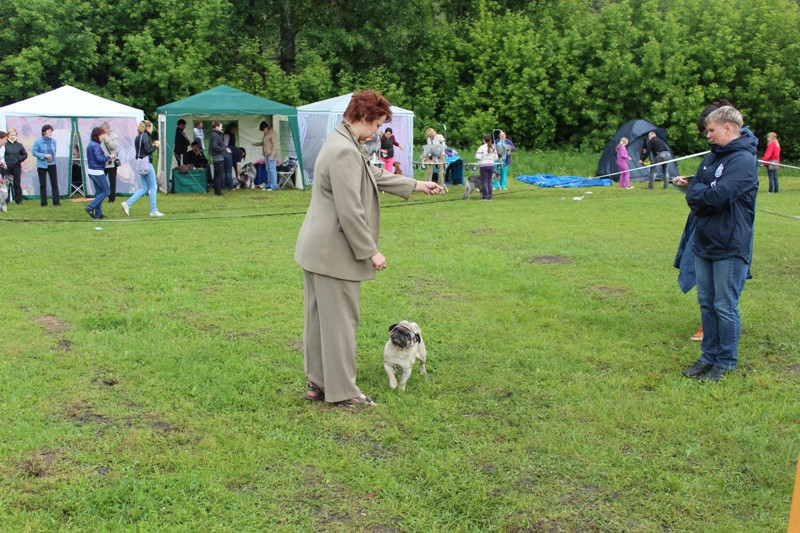 2012_06_03_1201.JPG