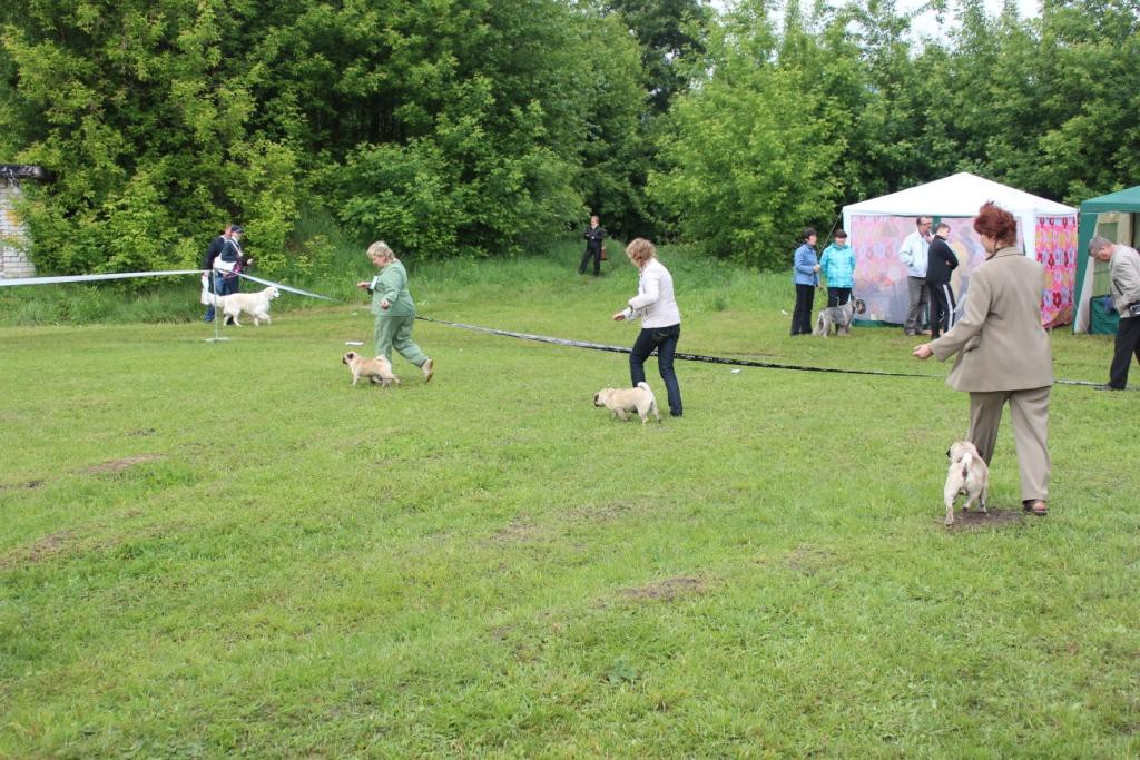 2012_06_03_1249.JPG