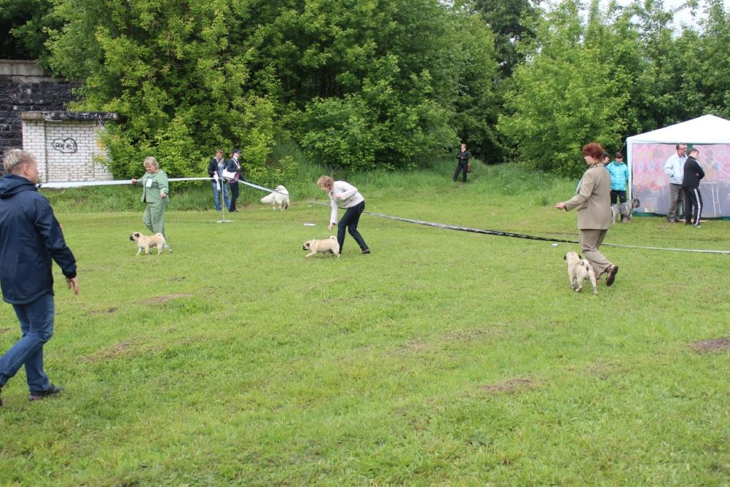 2012_06_03_1253.JPG