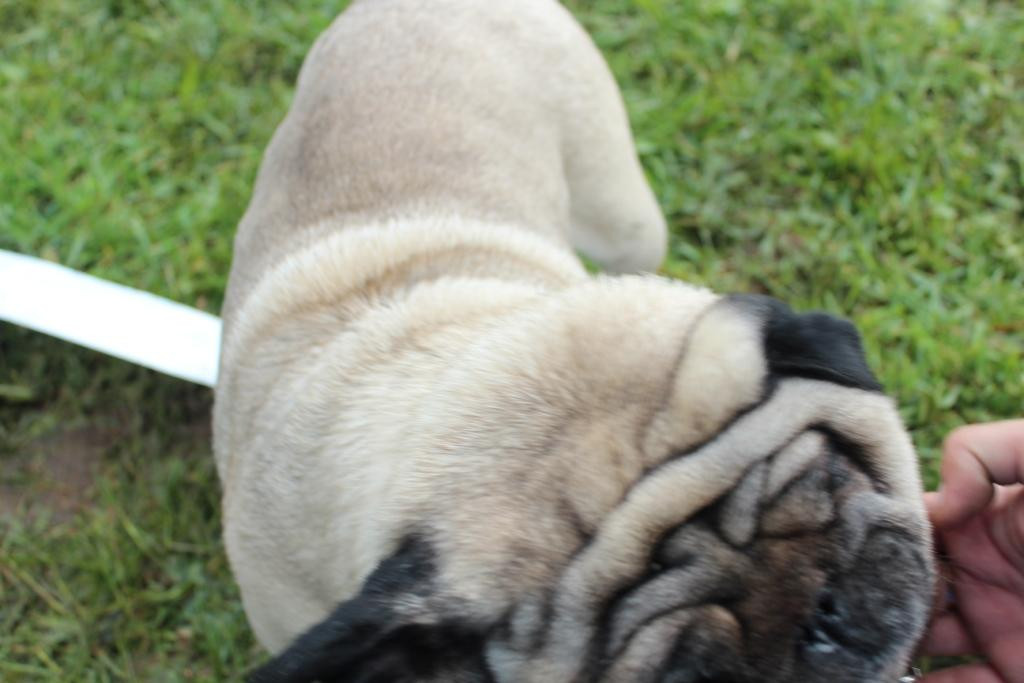 2012_06_03_1266.JPG