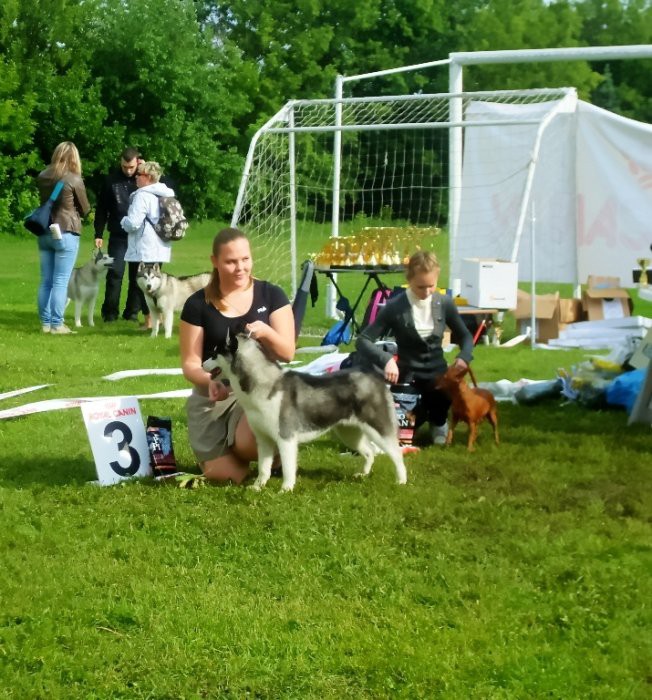 4652416.SDC17492_1.jpg