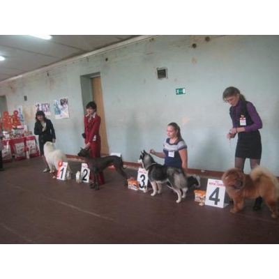 57063155-img_0155.jpg