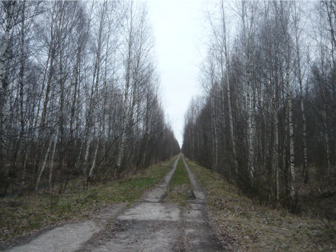 P1250261.JPG