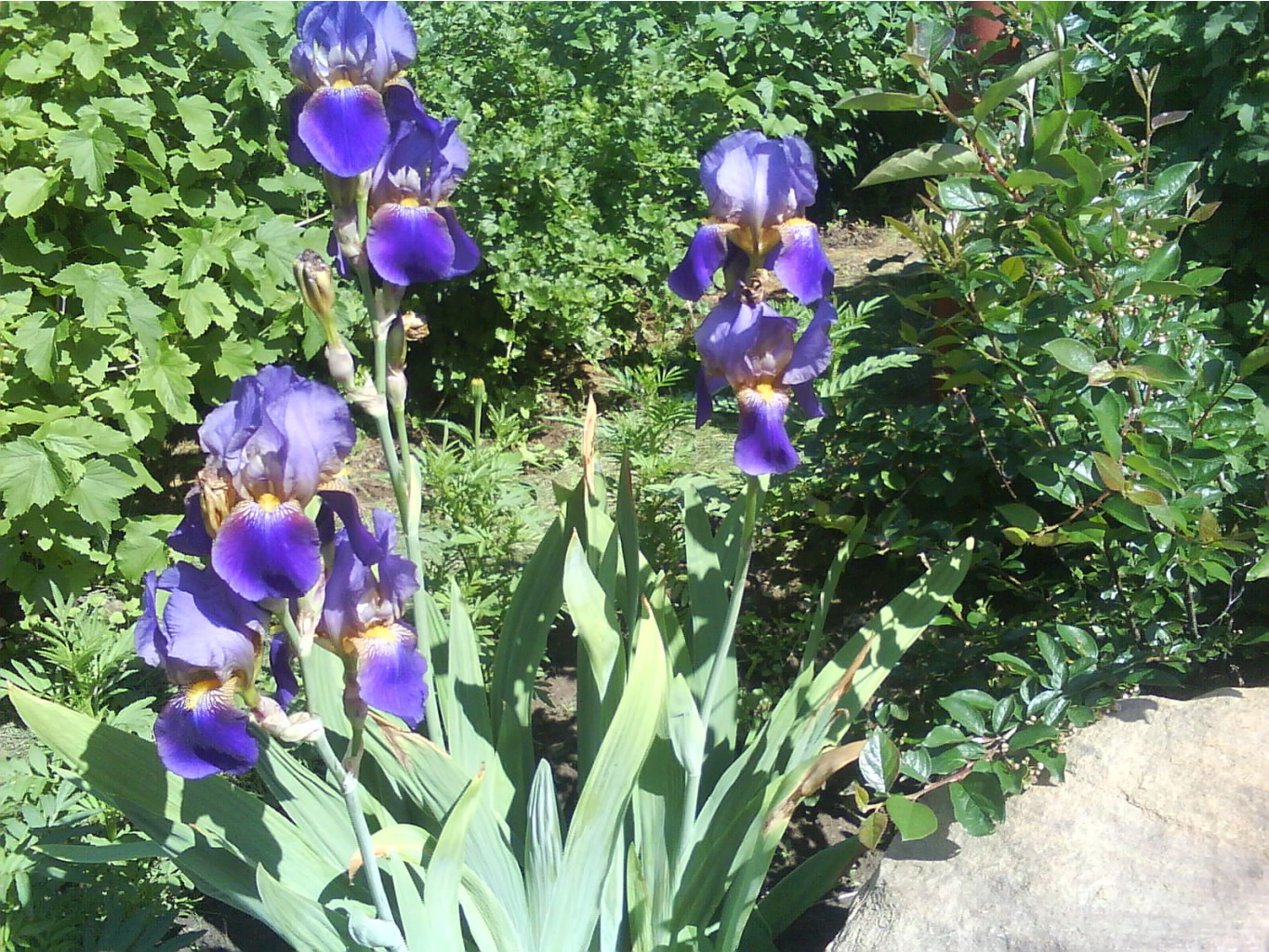 DSC01150.JPG