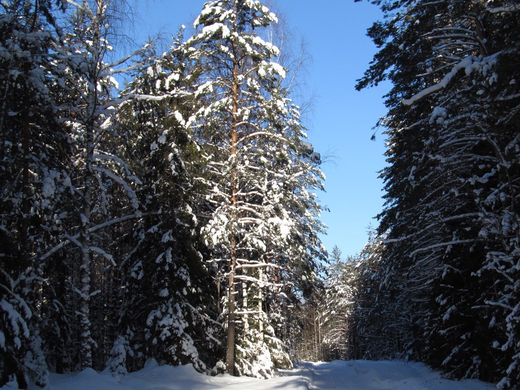 IMG_0125.JPG