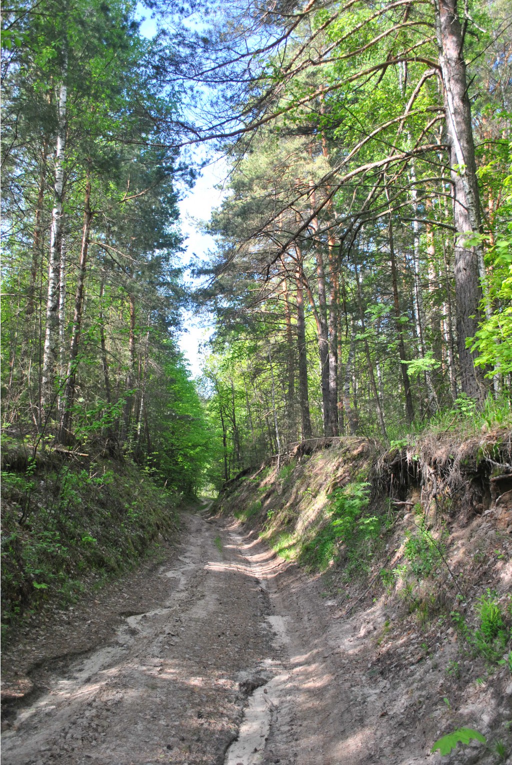 DSC_0588.JPG