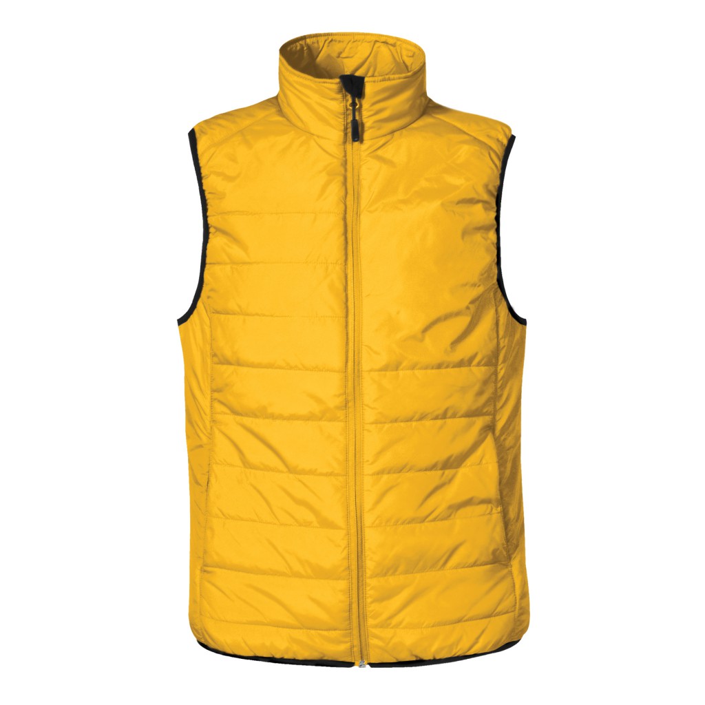 PFV-1W_GOLD 1290.jpg
