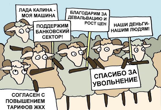 degi.jpg