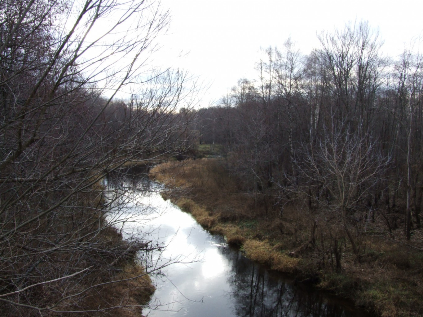 DSCF1242.JPG