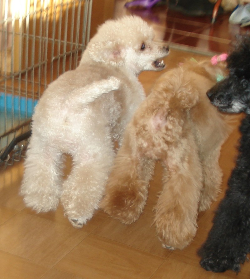 DSC01435.JPG