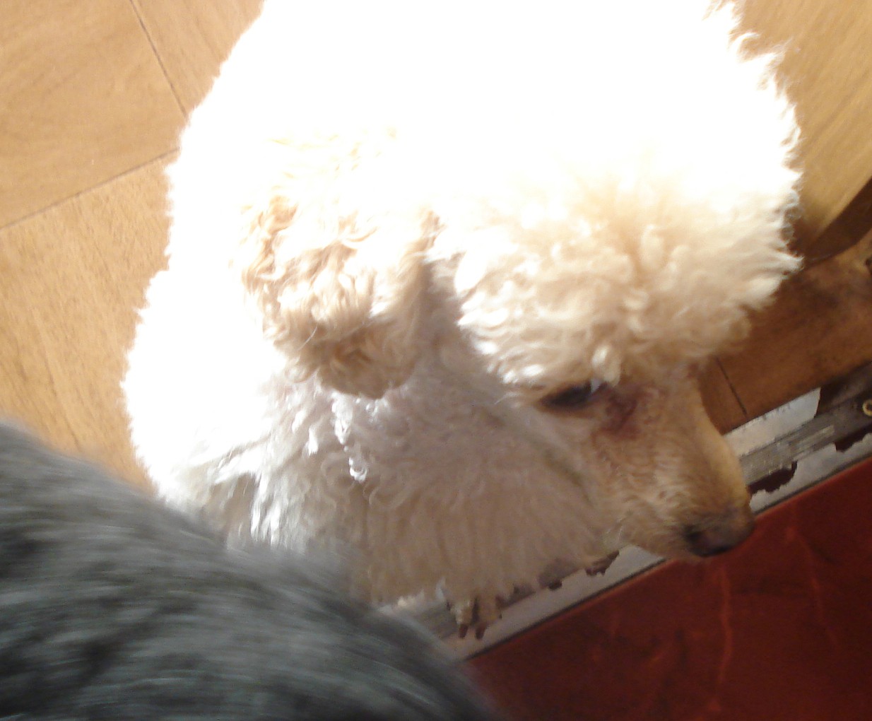 DSC01441.JPG