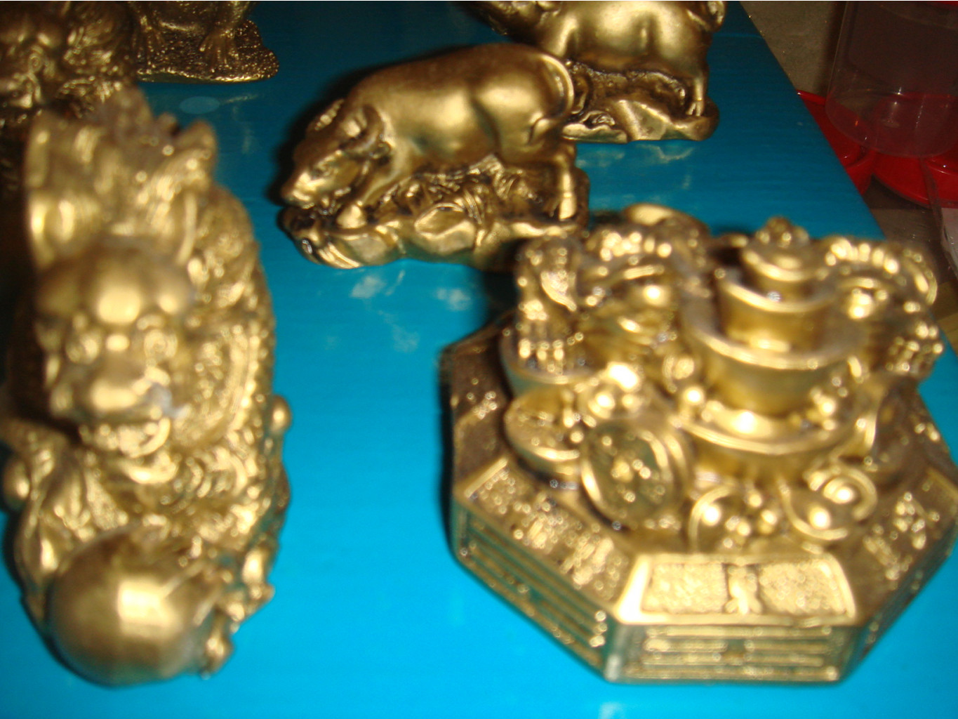 DSC07415.JPG